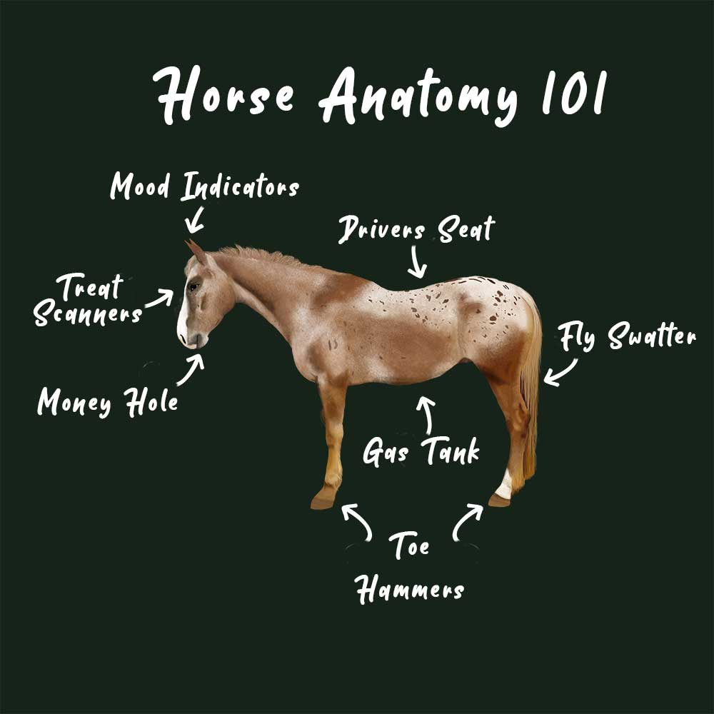 Horse Anatomy T-Shirt | Funny Horse Shirt | Savage Western Co. Tee Shirt
